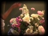 sunshine ebony anal2