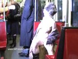 Nude in Public - Katja