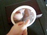 Multiple Cumshots in This Compilation