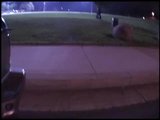 ebs-kitty