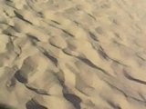 Canary Islands 2
