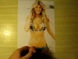 Wanking session to Marisa Miller