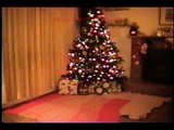 submichelle poses for XXXMas