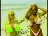 Wendy Whoppers 2