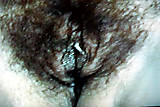 Laura hairy pussy