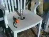 Betrayed Pt. 9