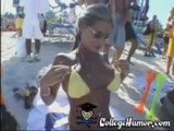 Bounching tits