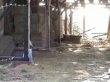 Outdoor pissdrinking