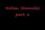 Italian Shemale Part 2